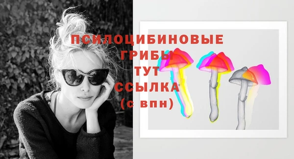 гашик Белоозёрский